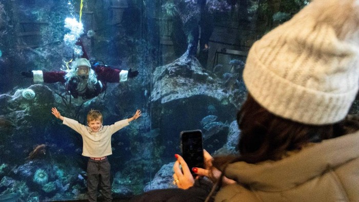 Penyelam berkostum Sinterklas menyambut Natal di Akuarium Seattle. Aksinya yang unik menarik perhatian pengunjung dari anak-anak hingga orang dewasa.