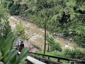 Liburan Sempurna: Menikmati Kopi dan Alam Asri di Ciwidey