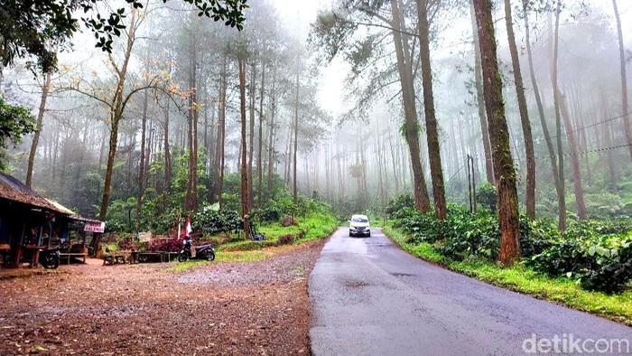 Liburan Tanpa Cuti & Macet: 5 Wisata Alam di Pinggir Kota buat Recharge Otak