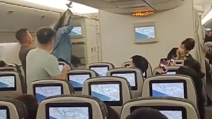 Burung terbang di dalam kabin menghebohkan para penumpang.