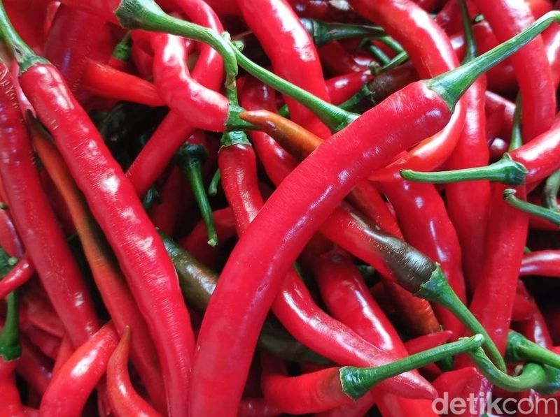 Big red chili