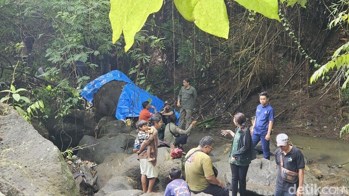 Gajah Moly ditemukan mati di tepi sungai, Desa Guwang, Sukawati, Gianyar, Bali, Selasa (17/12/2024). (Putu Krista/detikBali)