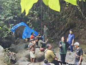 Bangkai Gajah Moly Mulai Menebarkan Bau Busuk