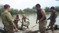 Pemindahan dilakukan secara estafet. Sebab lokasi menuju tanggul terpetak-petak oleh tambak.