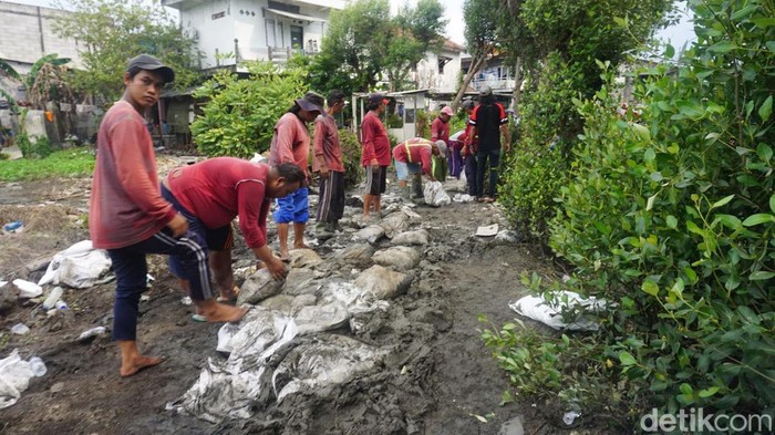 gotong royong perbaiki tanggul jebol akibat rob