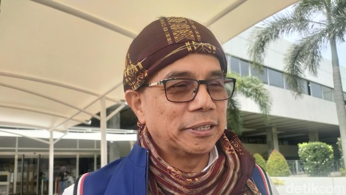 Hinca Pandjaitan. (Dwi Rahmawati/detikcom).