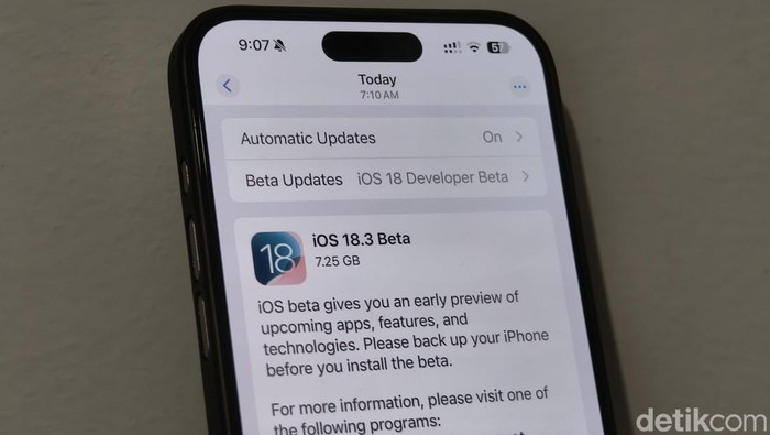 iOS 18.3