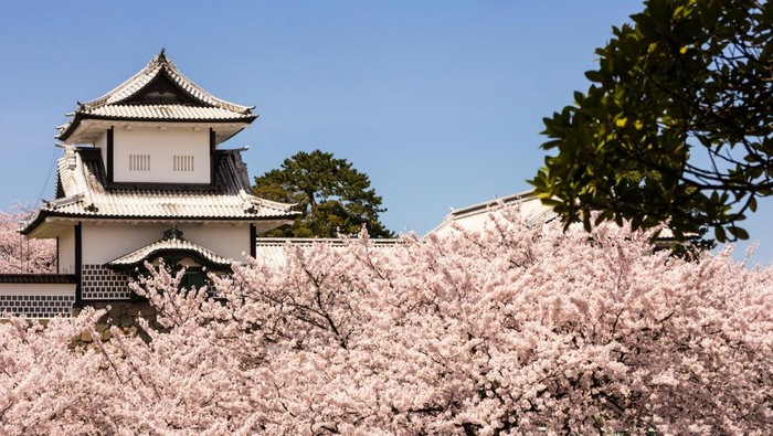 Kastil Kanazawa, Jepang