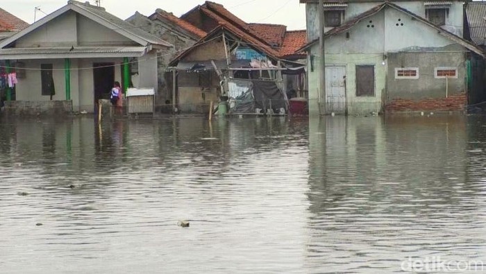 Kondisi banjir rob di Kecamatan Batujaya, Kabupaten Karawang
