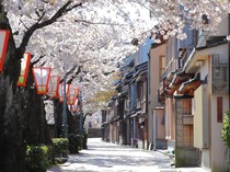 91% Turis Indonesia OTW Luar Negeri, Jepang-Korsel Jadi Pilihan