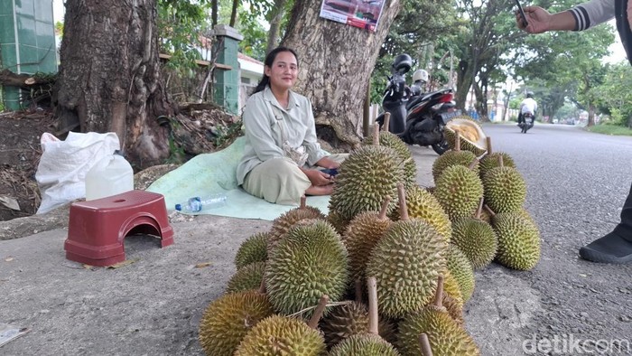 Kota Lubuklinggau memasuki musim durian, sehingga banyak pedagang durian yang bermunculan di pinggir jalan. Meski banyak yang jual, mereka mengaku tetap cuan atau meraup untung.