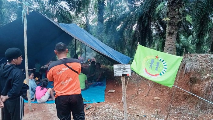 Warga di Kabupaten Luwu Timur (Lutim), Sulawesi Selatan (Sulsel) terlibat sengketa lahan dengan PT Perkebunan Nusantara (PTPN). Warga yang mengklaim lahannya diambil pihak perusahan nekat menginap di kebun sawit yang menjadi sengketa.