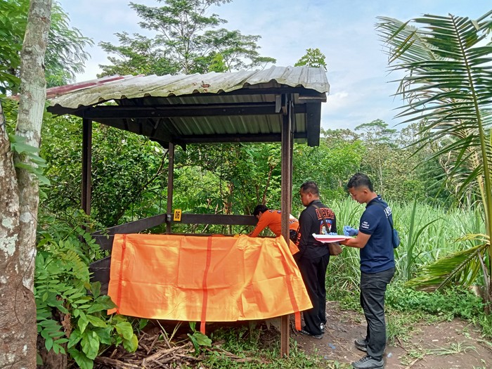 Mayat perempuan setengah bugil ditemukan di gubuk tengah sawah Malang