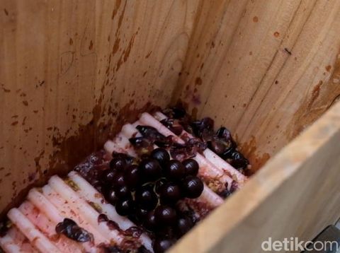 Minuman Olahan Buah Anggur Khas Probolinggo