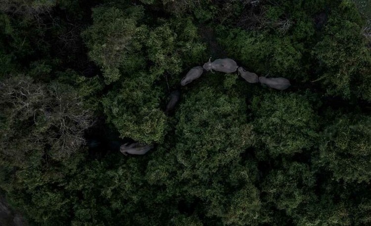 Nature Photographer of The Year 2024 Nature Photographer of The Year 2024