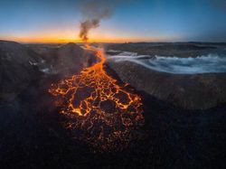 Karya Fantastis Jawara Nature Photographer of The Year 2024