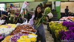Penjual Bunga Rawa Belong Makin Cuan Jelang Natal