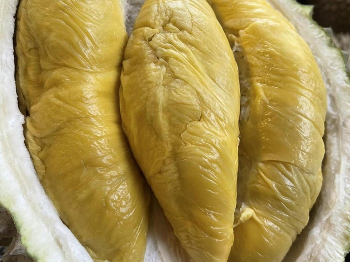 Penjual Durian Ketipu Rp 4,7 Juta Usai Kirim 10 Kotak Durian Tanpa DP
