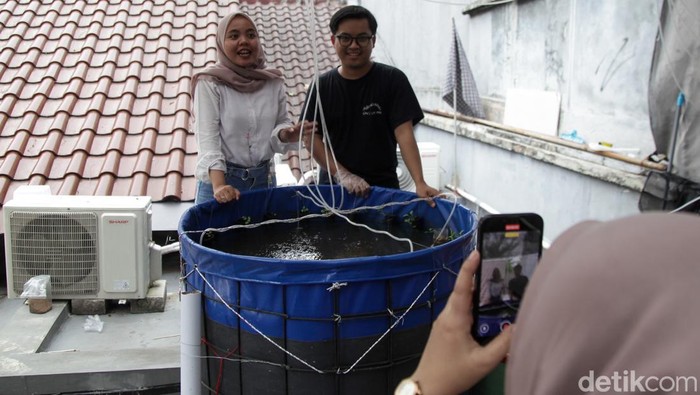 Budi daya ikan nila bisa dilakukan di atap rumah dengan teknik bioflok. Teknik ini cocok dilakukan di lahan terbatas dan tak memerlukan biaya besar.