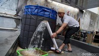 Perawatan ikan nila yaitu dengan melakukan pergantian 30 persen kapasitas kolam 3 hari sekali. Pemberian pakan dilakukan 2 kali sehari dengan pelet.   