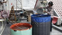 Pembudidaya memberi pakan ikan nila lewat budi daya sistem bioflok di perkantoran kawasan Jalan Brawijaya, Kebayoran Baru, Jakarta Selatan, Selasa (17/12/2024). Teknik bioflok menjadi cara budi daya ikan nila yang cocok dilakukan di lahan terbatas dan tak memerlukan biaya besar.  