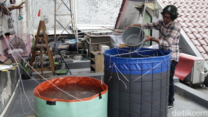 Budi daya ikan nila bisa dilakukan di atap rumah dengan teknik bioflok. Teknik ini cocok dilakukan di lahan terbatas dan tak memerlukan biaya besar.