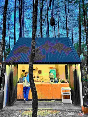 Habiskan Akhir Pekan dengan Chill di Kafe Bernuansa Asri Bandung