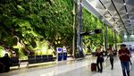 Wajah Baru Bandara Soetta, Rimbun dengan Hutan Tropis