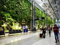 Wajah Baru Bandara Soetta, Rimbun dengan Hutan Tropis