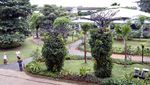 Wajah Baru Bandara Soetta, Rimbun dengan Hutan Tropis
