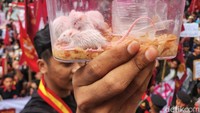 Harun Masiku merupakan tersangka korupsi suap anggota KPU Wahyu Setiawan pada 2020. Wahyu Setiawan dinyatakan bersalah dan telah bebas usai menjalani masa hukuman sebagai terpidana. 