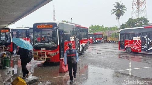 Beberapa bus Trans Metro Dewata saat berada di Terminal Ubung, Denpasar, Bali pada Rabu (18/12/2024). (Ni Made Lastri Karsiani Putri-detikBali)