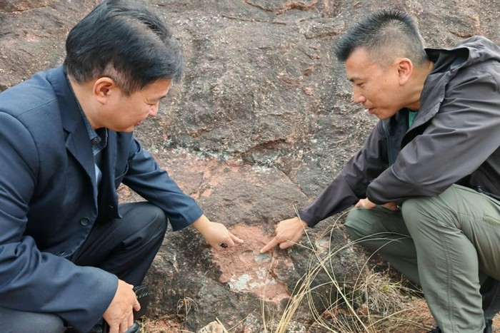 Dua warga Hong Kong yang sedang berwisata di China, tak sengaja menemukan fosil telur dinosaurus. Tak cuma satu, ada enam fosil telur dinosaurus yang mereka temukan di Heyuan, Guangdong, China.