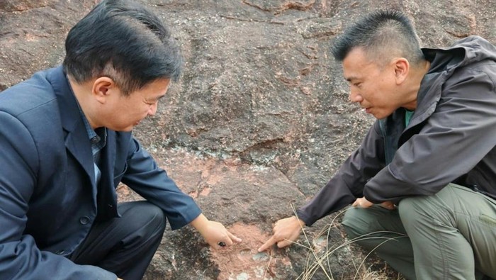 Dua warga Hong Kong yang sedang berwisata di China, tak sengaja menemukan fosil telur dinosaurus. Tak cuma satu, ada enam fosil telur dinosaurus yang mereka temukan di Heyuan, Guangdong, China.