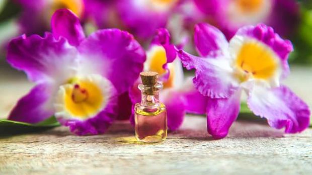 Ilustrasi orchid essential oil