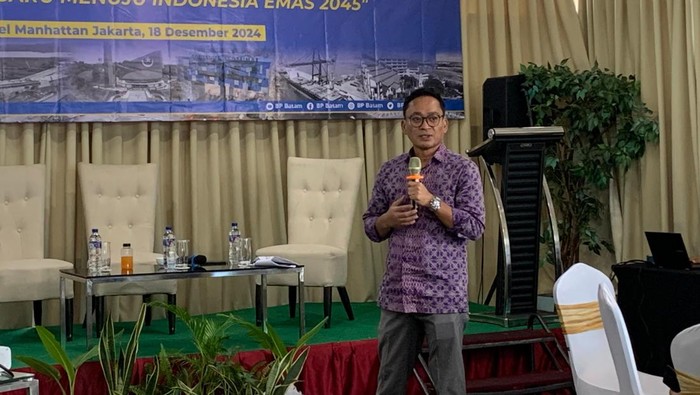 Kepala Pusat Perencanaan Program Strategis BP Batam Fesly Abadi Paranoan.