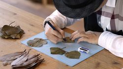 Kreatif! Seniman Jepang Bikin Karya Seni dari Mengukir Daun