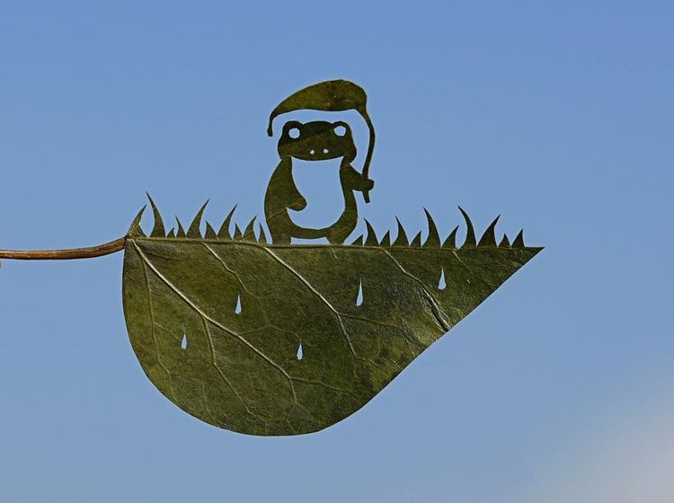 Kreatif! Seniman Jepang Bikin Karya Seni dari Mengukir Daun