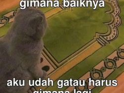 Meme Netizen Pajak 12% Mulai 2025, Semangat Gaes!