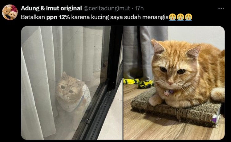 Meme Netizen Pajak 12% Mulai 2025, Semangat Gaes! Awal 2025, Pajak Pertambahan Nilai (PPN) akan naik dari 11% menjadi 12%.