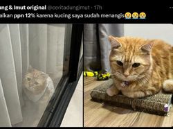 Meme Netizen Pajak 12% Mulai 2025, Semangat Gaes!