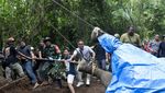 Tragis! Molly si Gajah Bali Zoo Mati Terseret Arus Sungai