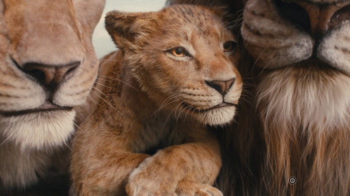 Cuplikan adegan dalam film Mufasa: The Lion King (2024).