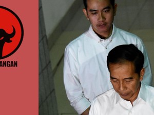 Begini Respons Jokowi, Gibran dan Bobby usai Resmi Dipecat PDIP