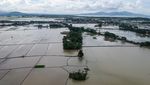 Foto Udara Ribuan Hektare Sawah Terendam Banjir di Banten