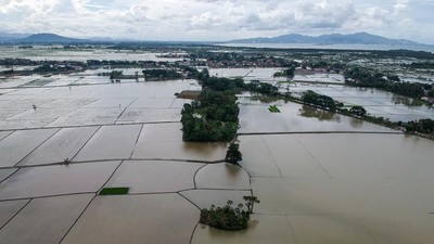 Foto Udara Ribuan Hektare Sawah Terendam Banjir di Banten