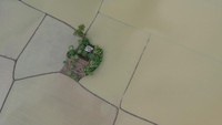 Hal ini membuat petani terancam gagal panen.  
