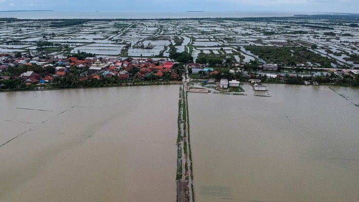 Foto udara lahan persawahan yang terendam banjir di Kasemen, Kota Serang, Banten, Rabu (18/12/2024). Dinas Pertanian Provinsi Banten mencatat sebanyak 7.882,4 hektare sawah di wilayah Banten terendam banjir akibat tingginya curah hujan sehingga membuat petani terancam gagal panen. ANTARA FOTO/Putra M. Akbar/gp/nym.
