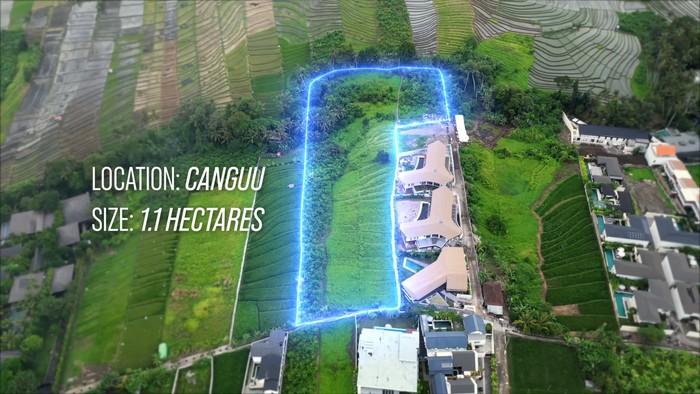 Tanah 1,1 Ha Milik Julian Petroulas di Canggu, Bali