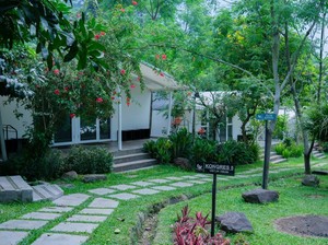10 Rekomendasi Glamping Terbaik di Bogor, View Kebun Teh dan Persawahan